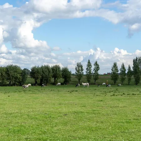 Tatil Evi Spacious With Pond Beveren (West-Flanders)